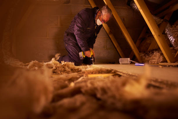 Best Crawl Space Insulation  in Rancho Alegre, TX